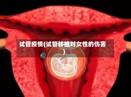 试管疫情(试管移植对女性的伤害)