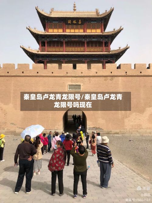秦皇岛卢龙青龙限号/秦皇岛卢龙青龙限号吗现在