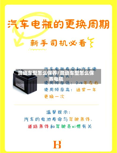 混动车型怎么保养/混动车型怎么保养电瓶