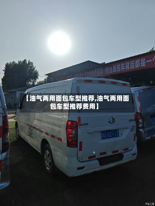 【油气两用面包车型推荐,油气两用面包车型推荐费用】-第2张图片