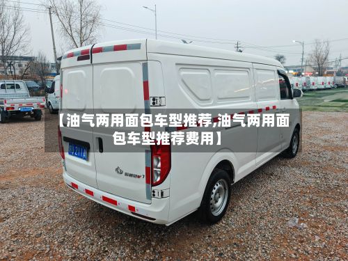 【油气两用面包车型推荐,油气两用面包车型推荐费用】