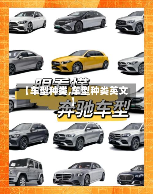 【车型种类,车型种类英文】