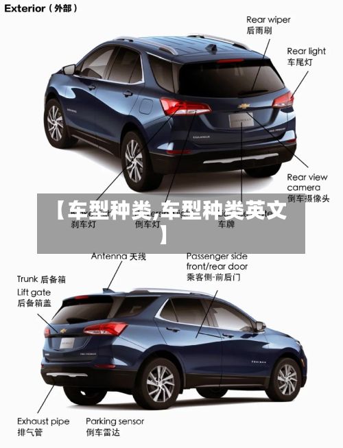 【车型种类,车型种类英文】-第3张图片