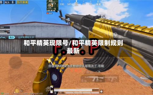 和平精英现限号/和平精英限制规则最新-第2张图片