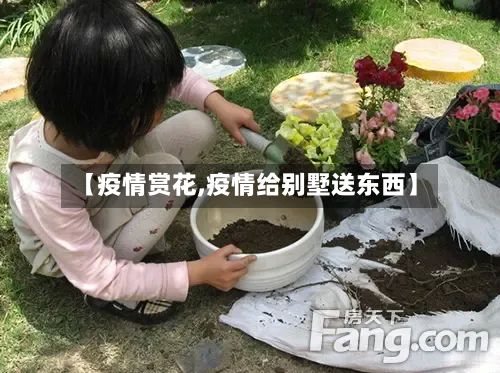 【疫情赏花,疫情给别墅送东西】-第2张图片