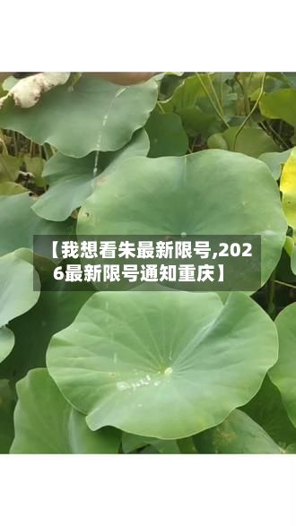 【我想看朱最新限号,2026最新限号通知重庆】