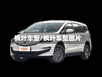枫叶车型/枫叶车型图片