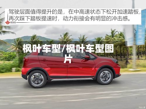 枫叶车型/枫叶车型图片-第3张图片
