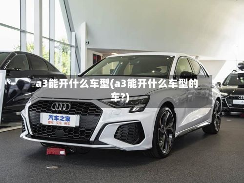 a3能开什么车型(a3能开什么车型的车?)-第2张图片
