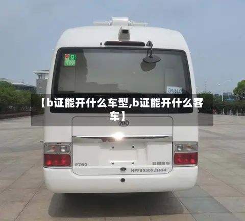 【b证能开什么车型,b证能开什么客车】