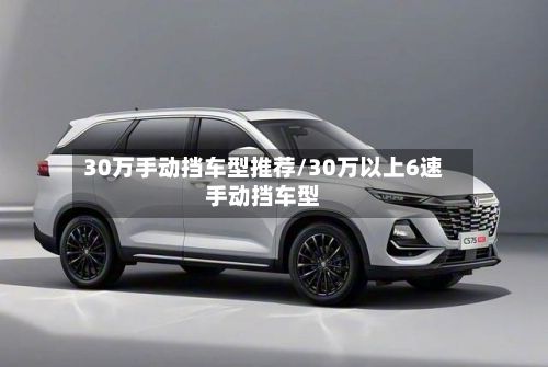 30万手动挡车型推荐/30万以上6速手动挡车型