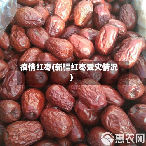 疫情红枣(新疆红枣受灾情况)