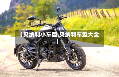 【贝纳利小车型,贝纳利车型大全】-第2张图片