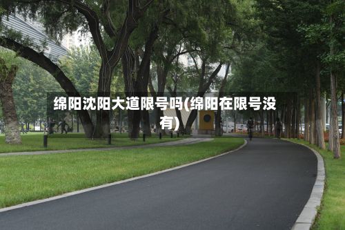 绵阳沈阳大道限号吗(绵阳在限号没有)-第2张图片