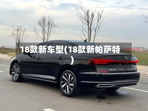 18款新车型(18款新帕萨特)-第3张图片