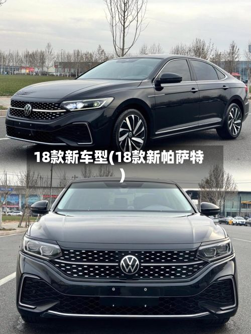 18款新车型(18款新帕萨特)-第2张图片