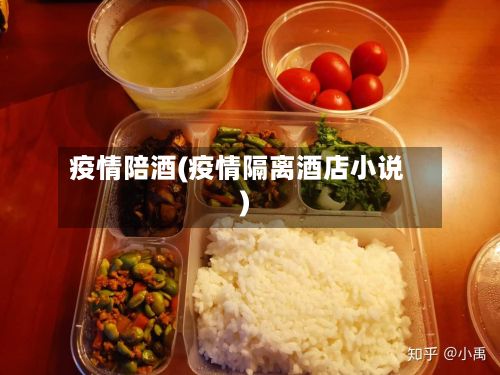疫情陪酒(疫情隔离酒店小说)-第3张图片