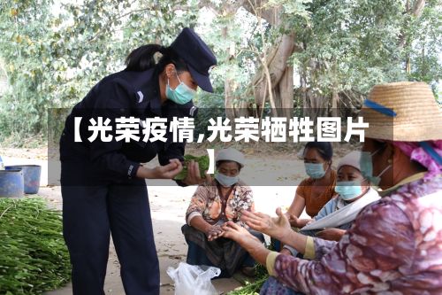 【光荣疫情,光荣牺牲图片】