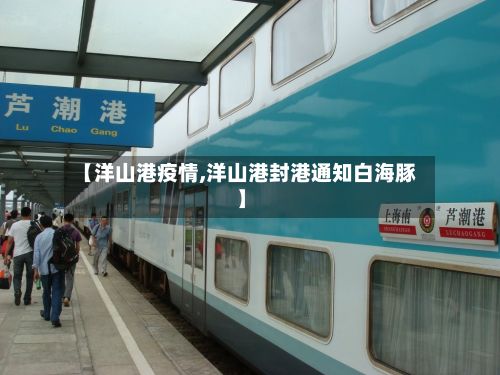 【洋山港疫情,洋山港封港通知白海豚】