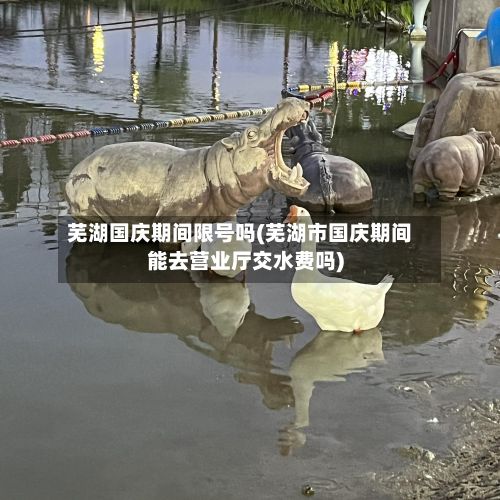 芜湖国庆期间限号吗(芜湖市国庆期间能去营业厅交水费吗)