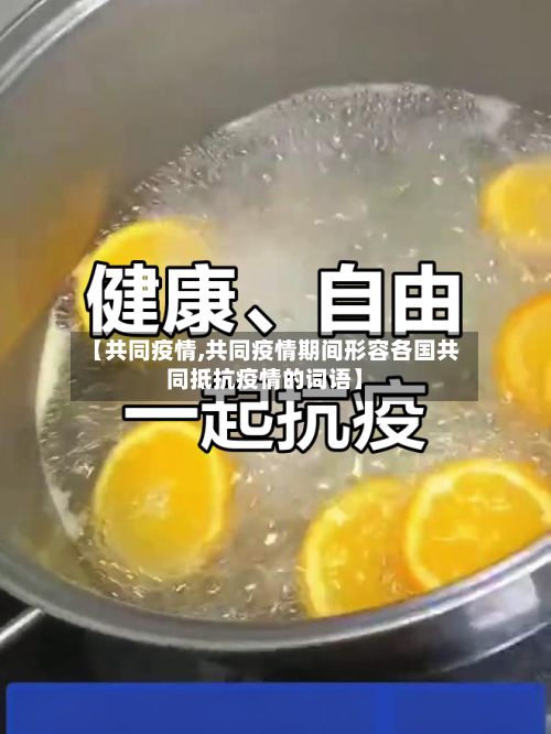 【共同疫情,共同疫情期间形容各国共同抵抗疫情的词语】