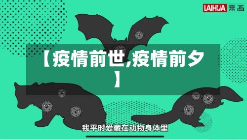 【疫情前世,疫情前夕】