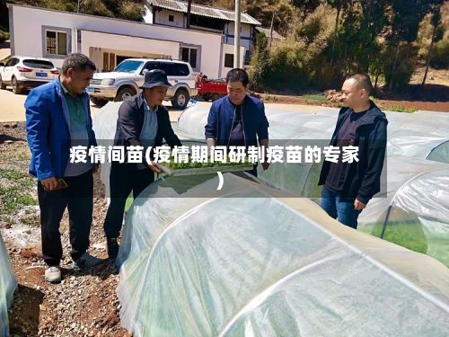 疫情间苗(疫情期间研制疫苗的专家)-第2张图片