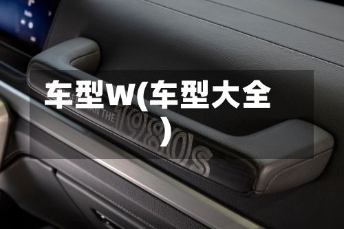 车型W(车型大全)