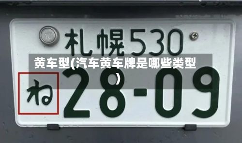 黄车型(汽车黄车牌是哪些类型)