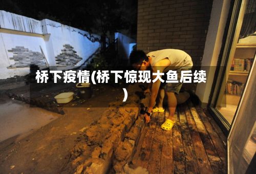 桥下疫情(桥下惊现大鱼后续)