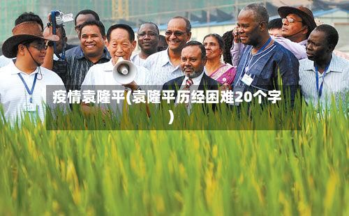 疫情袁隆平(袁隆平历经困难20个字)