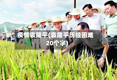 疫情袁隆平(袁隆平历经困难20个字)-第2张图片