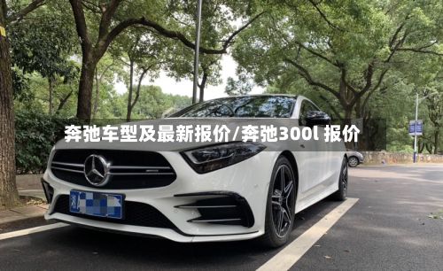 奔弛车型及最新报价/奔弛300l 报价