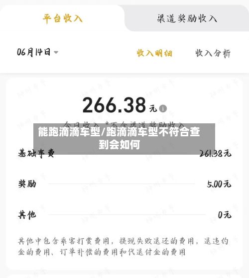 能跑滴滴车型/跑滴滴车型不符合查到会如何-第2张图片