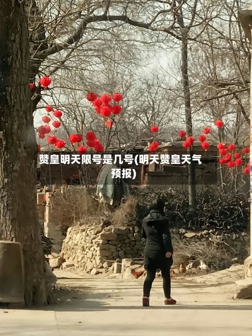 赞皇明天限号是几号(明天赞皇天气预报)