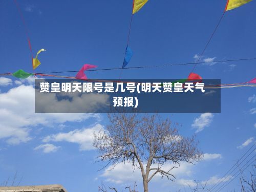 赞皇明天限号是几号(明天赞皇天气预报)-第2张图片