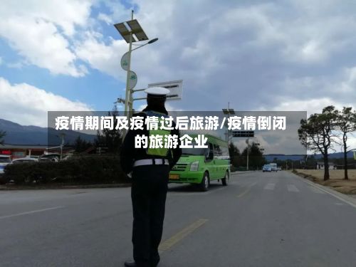 疫情期间及疫情过后旅游/疫情倒闭的旅游企业-第2张图片