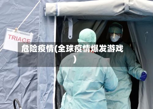 危险疫情(全球疫情爆发游戏)-第2张图片