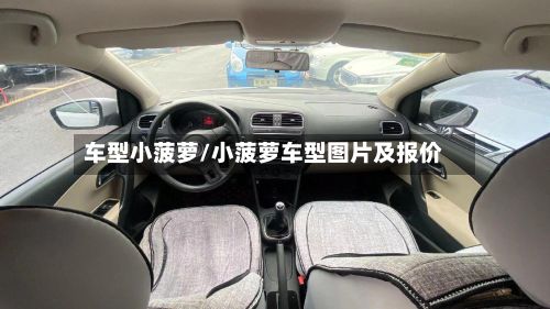车型小菠萝/小菠萝车型图片及报价