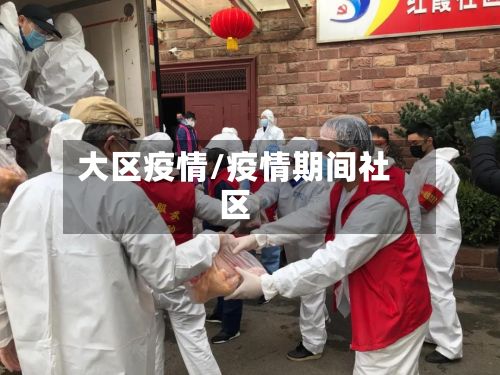 大区疫情/疫情期间社区