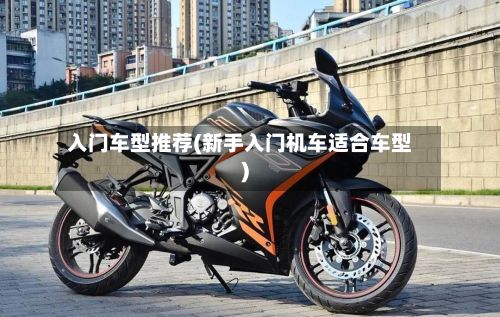 入门车型推荐(新手入门机车适合车型)-第3张图片