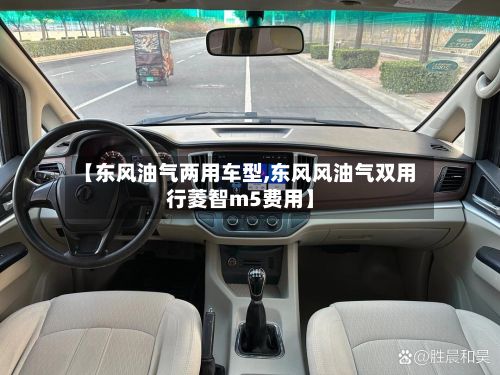 【东风油气两用车型,东风风油气双用行菱智m5费用】