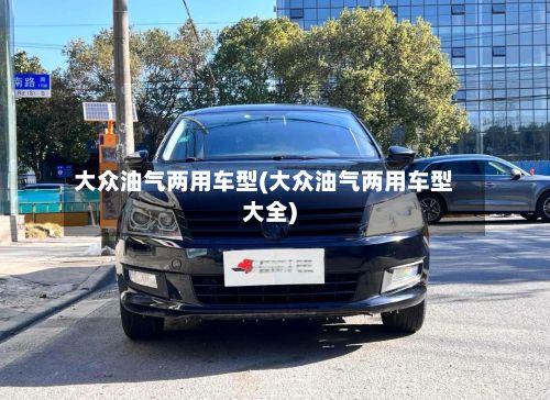 大众油气两用车型(大众油气两用车型大全)-第2张图片