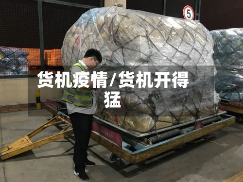 货机疫情/货机开得猛-第2张图片