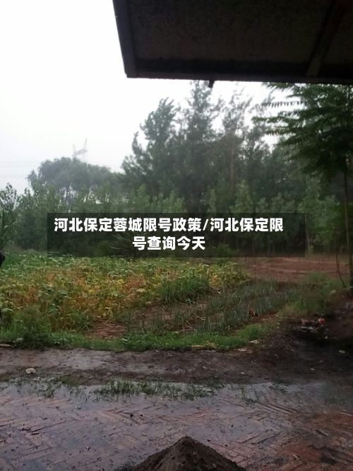 河北保定蓉城限号政策/河北保定限号查询今天-第2张图片