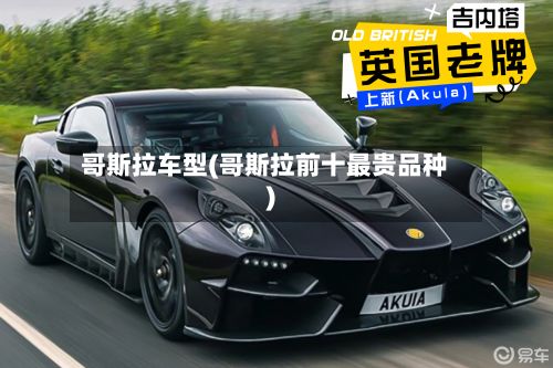哥斯拉车型(哥斯拉前十最贵品种)
