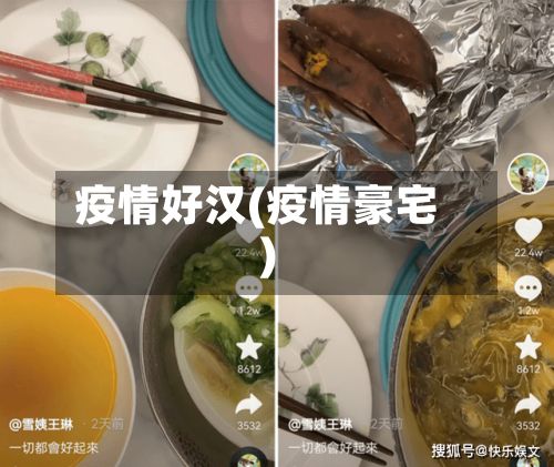 疫情好汉(疫情豪宅)