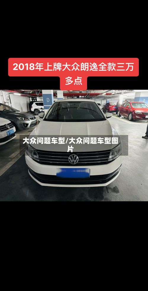 大众问题车型/大众问题车型图片-第2张图片
