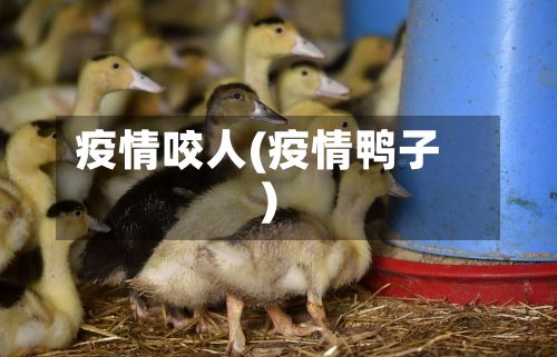 疫情咬人(疫情鸭子)