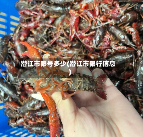 潜江市限号多少(潜江市限行信息)